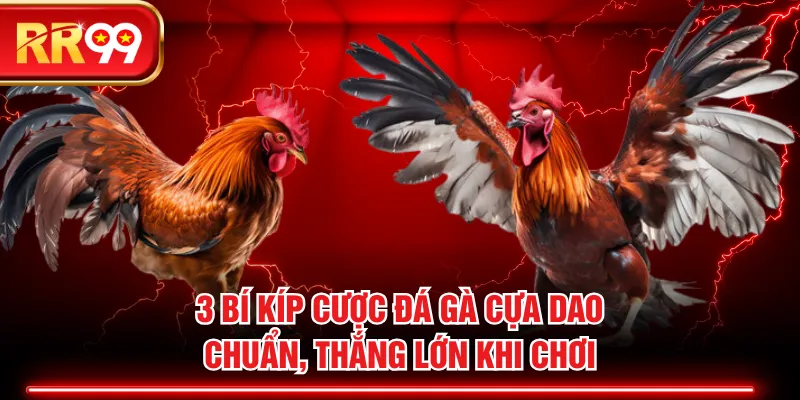Đá Gà Cựa Dao